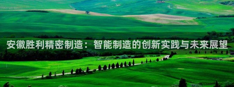 彩神v8是一个什么平台游戏