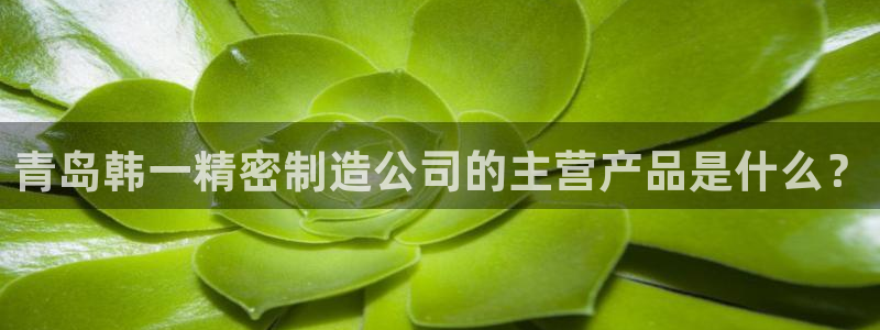 彩神v8手机客户端下载