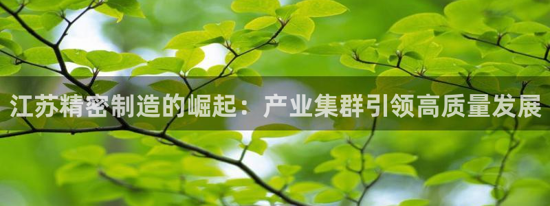 彩神vlll官网网上购彩：江苏精密制造的崛起：产业集群引领高质量发展