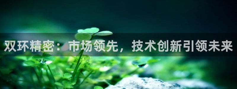 彩神平台之间是什么关系：双环精密：市场领先，技术创新引领未来