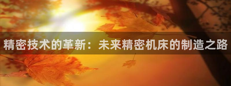彩神vll官网在线登录：精密技术的革新：未来精密机床的制造之路