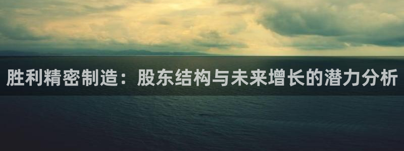 彩神v彩搜狗