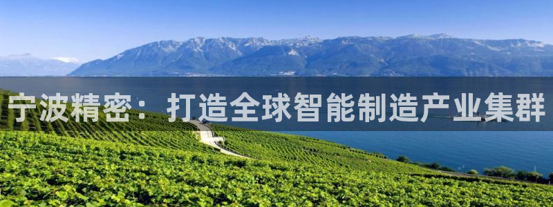 彩神v8手机客户端怎么下载