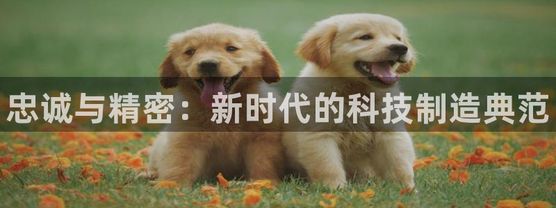 彩神是正规平台吗