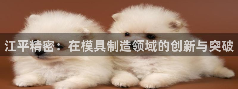 彩神争霸官方登录：江