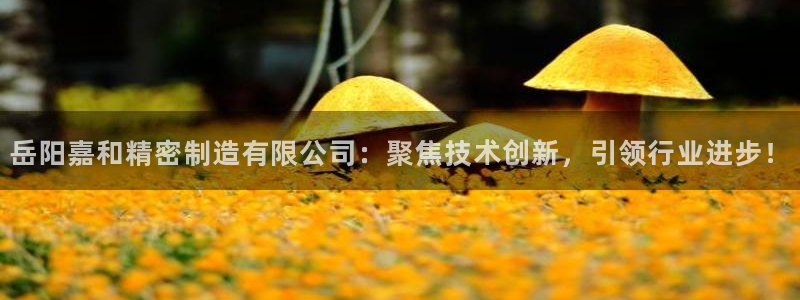 彩神通关注码金码对应码