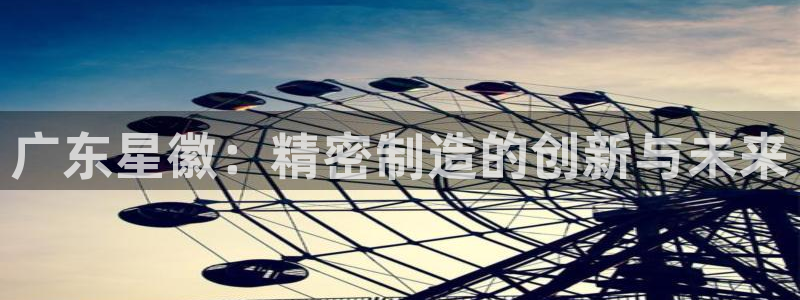 彩神网正规吗：广东星徽：精密制造的创新与未来