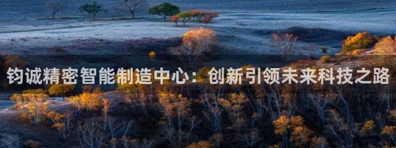 彩神ⅴll是什么样平