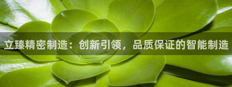彩神网官网登录：立臻精密制造：创新引领，品质保证的智能制造