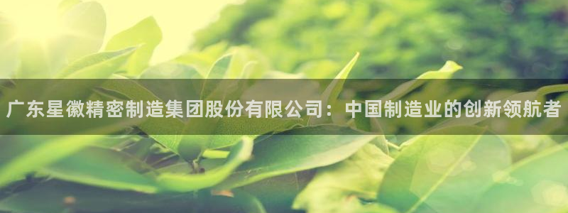 彩神8官网版是正规的吗：广东星徽精密制造集团股份有限公司：中国制造业的创新领航者
