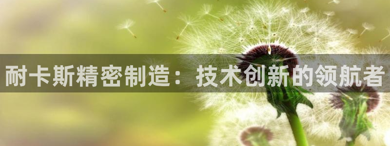 彩神购彩-购彩大厅入口下载：耐卡斯精密制造：技术创新的领航者