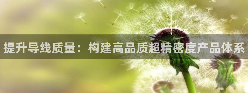 彩神旗下有哪些平台可以看