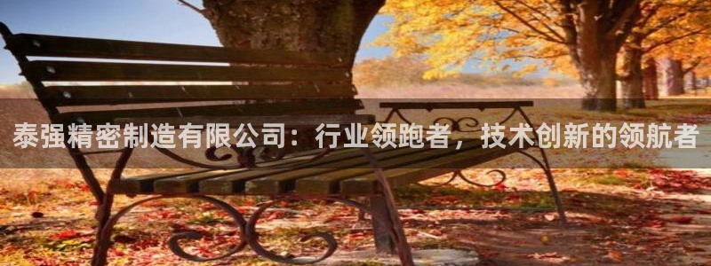 下载彩神通关注金码：泰强精密制造有限公司：行业领跑者，技术创新的领航者