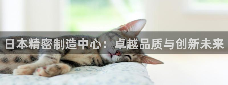 彩神v8是一个什么平台啊：日本精密制造中心：卓越品质与创新未来