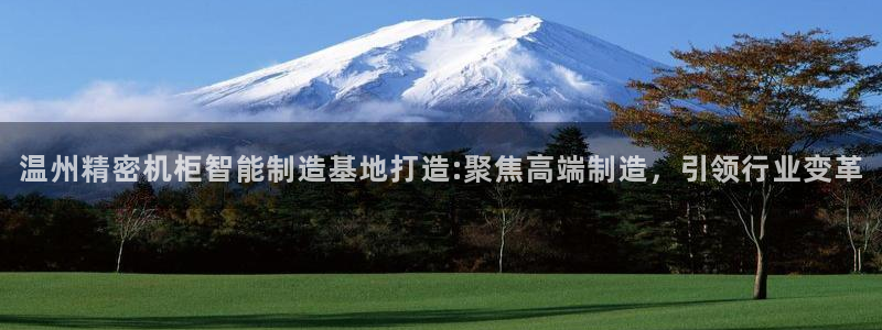 彩神旗下有哪些平台可以玩：温州精密机柜智能制造基地打造:聚焦高端制造，引领行业变革