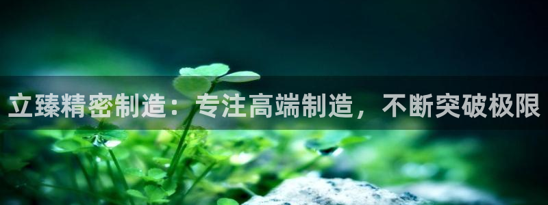 彩神平台之间是什么关系：立臻精密制造：专注高端制造，不断突破极限