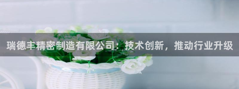 彩神v违法么：瑞德丰精密制造有限公司：技术创新，推动行业升级