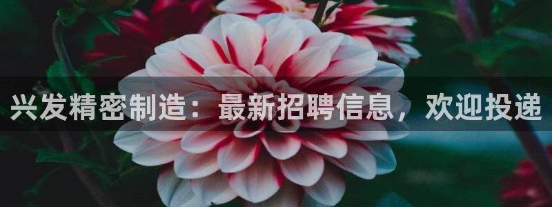 新版彩神v8登录：兴发精密制造：最新招聘信息，欢迎投递