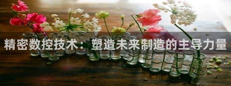 彩神vl购彩大厅：精