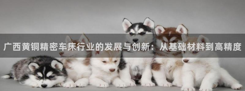 彩神iv是正规平台吗