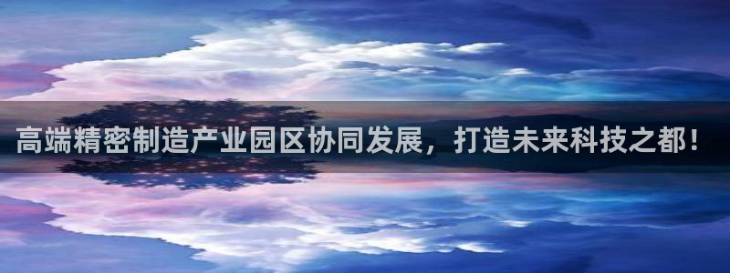 彩神大发黑平台：高端精密制造产业园区协同发展，打造未来科技之都！