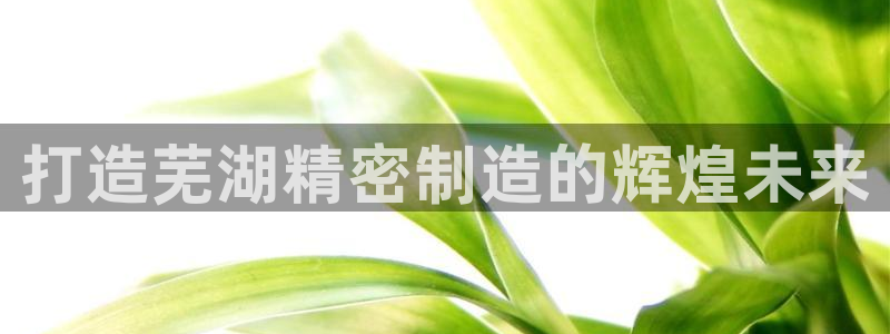 彩神v8平台正规吗可靠吗
