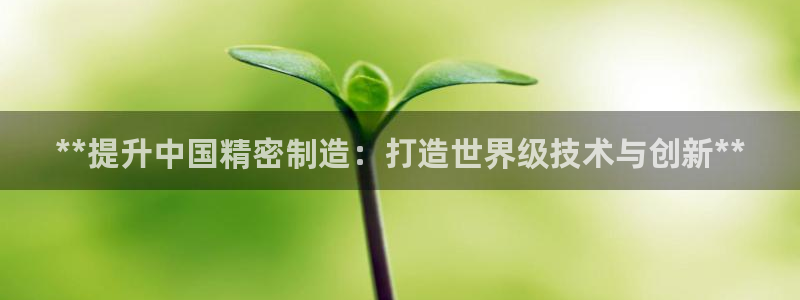 彩神vll首页环球：**提升中国精密制造：打造世界级技术与创新**