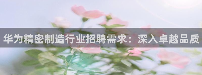 大发彩神最高邀请码：华为精密制造行业招聘需求：深入卓越品质