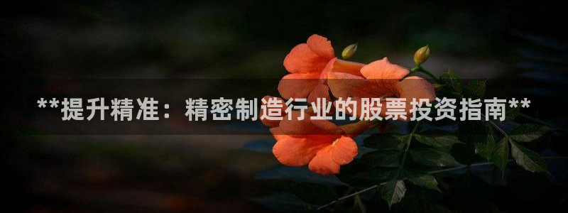 彩神v8客户端：**提升精准：精密制造行业的股票投资指南**