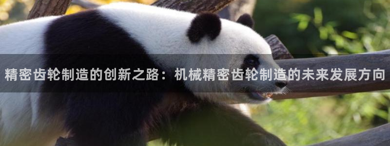 彩神viii是正规平台吗?：精密齿轮制造的创新之路：机械精密齿轮制造的未来发展方向