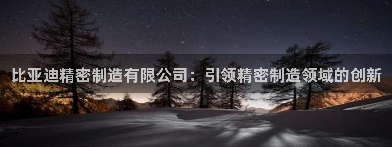 彩神新微聊：比亚迪精密制造有限公司：引领精密制造领域的创新
