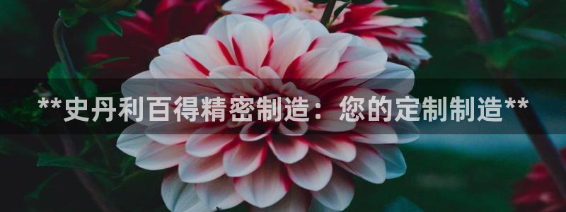 彩神大发cp：**史丹利百得精密制造：您的定制制造**