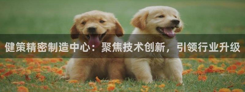 彩神vii购彩l心：健策精密制造中心：聚焦技术创新，引领行业升级