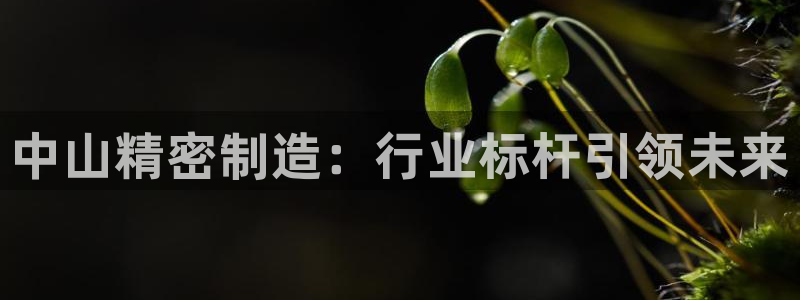 彩神vl官网：中山精密制造：行业标杆引领未来
