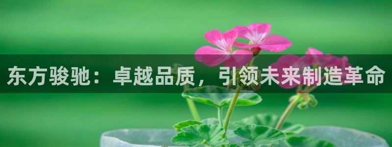 彩神vll官网在线登录：东方骏驰：卓越品质，引领未来制造革命
