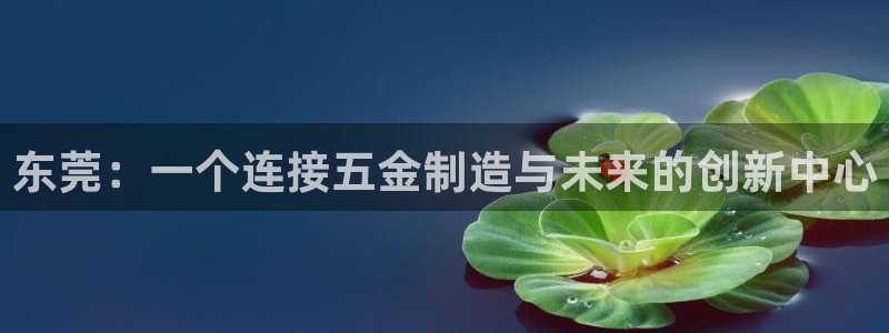 彩神购彩-购彩大厅入口：东莞：一个连接五金制造与未来的创新中心