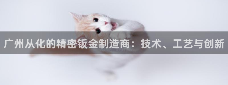 彩神大发cp：广州从化的精密钣金制造商：技术、工艺与创新