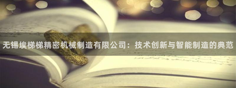 彩神vl购彩大厅：无锡埃梯梯精密机械制造有限公司：技术创新与智能制造的典范