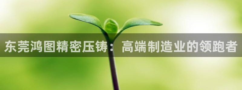 下载彩神通关注码：东