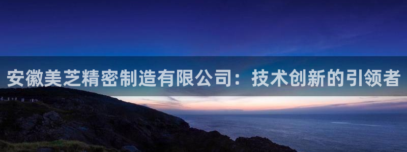 彩神8是正规平台吗知乎：安徽美芝精密制造有限公司：技术创新的引领者