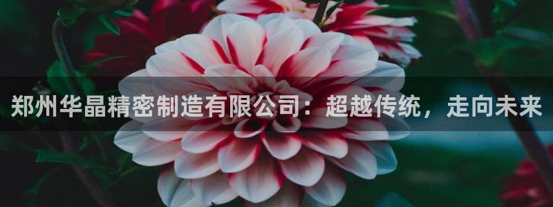 彩神输的钱是赌博还是诈骗：郑州华晶精密制造有限公司：超越传统，走向未来