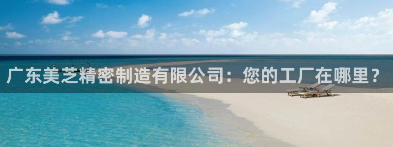 下载彩神通关注码：广东美芝精密制造有限公司：您的工厂在哪里？