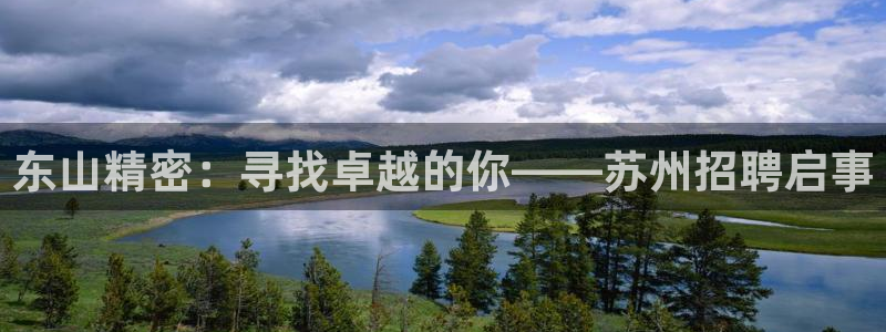 彩神vi争霸官网：东山精密：寻找卓越的你——苏州招聘启事