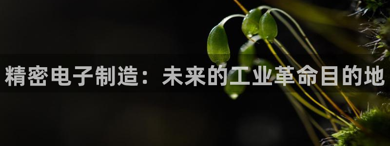 彩神v8平台正规吗安全吗：精密电子制造：未来的工业革命目的地