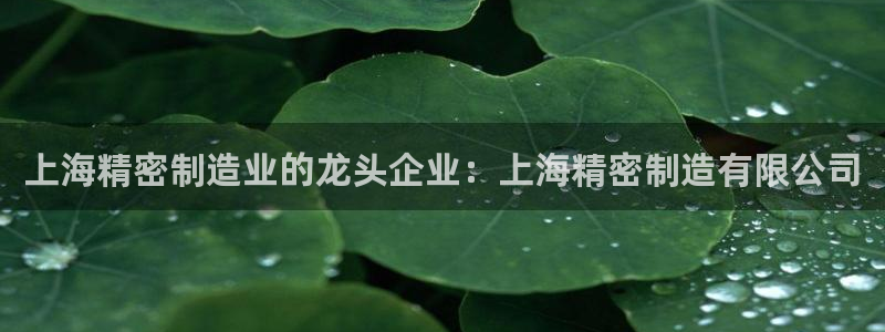 下载彩神乐发V：上海精密制造业的龙头企业：上海精密制造有限公司