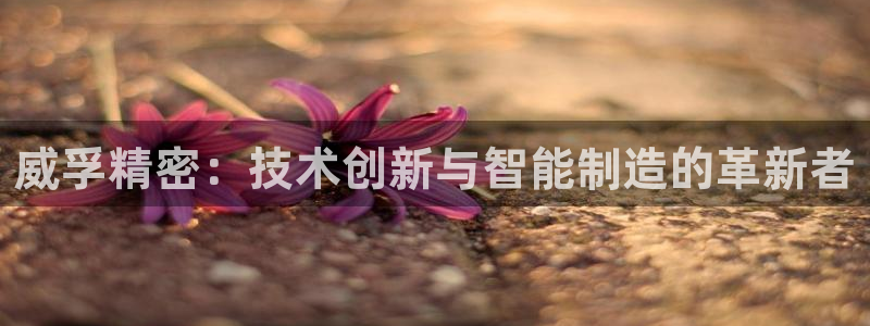 彩神v8平台正规吗：威孚精密：技术创新与智能制造的革新者