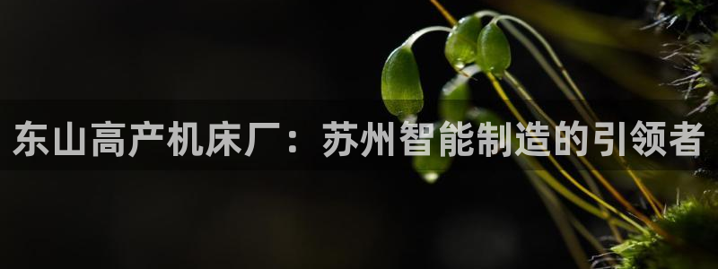 彩神ix可靠吗：东山高产机床厂：苏州智能制造的引领者