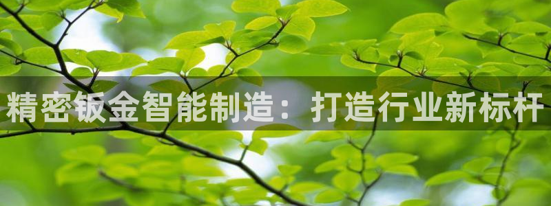 彩神争霸官网登录平台：精密钣金智能制造：打造行业新标杆