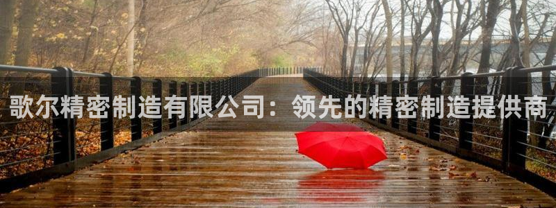 彩神VII官方版：歌尔精密制造有限公司：领先的精密制造提供商