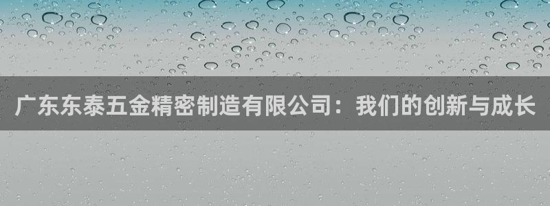 新版彩神v8登录：广东东泰五金精密制造有限公司：我们的创新与成长